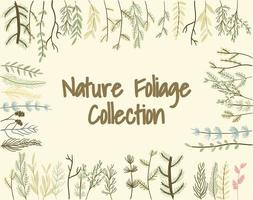 feuillage nature feuilles collection d'illustrations vectorielles vecteur