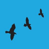 conception de silhouette d'oiseaux volants vecteur