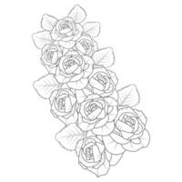 illustration rose de dessin au trait au crayon avec page de livre de coloriage pour adultes de style doodle avec des feuilles croquis facile vecteur