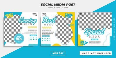 modèle de publication sur les médias sociaux journée du lait alimentaire vecteur