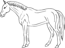 cheval de croquis de doodle dessinés à la main de vecteur