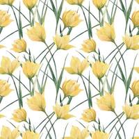 motif floral harmonieux de tulipes sauvages vecteur