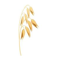 épi d'avoine. illustration vectorielle d'une plante céréalière. culture céréalière vecteur