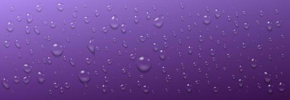 gouttes d'eau de condensation sur fond violet vecteur