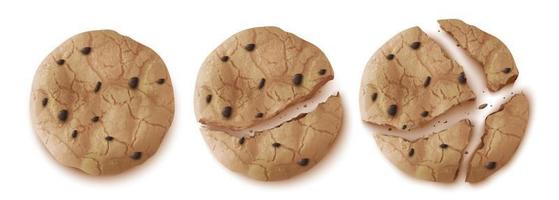 biscuits à l'avoine vue de dessus, biscuit entier ou concassé vecteur
