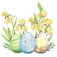composition florale de pâques avec des fleurs d'iris jaunes, des branches, des feuilles et des œufs. bouquet de fleurs, illustration aquarelle. vecteur