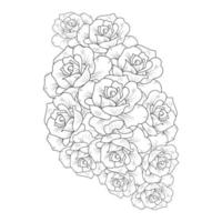 illustration vectorielle de fleur rose avec bouquet de roses pétales en fleurs pour coloriage adulte vecteur