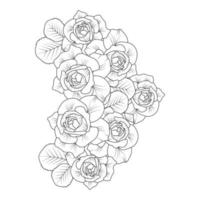 illustration vectorielle de fleur rose avec bouquet de roses pétales en fleurs pour coloriage adulte vecteur