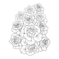 illustration vectorielle de fleur rose avec bouquet de roses pétales en fleurs pour coloriage adulte vecteur