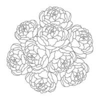 bouquet de fleurs de pivoine art de griffonnage de fleur coloriage contour vecteur graphique fond isolé