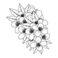 fleur coloriage dessin à la main dessin au trait de fleur noire avec un design décoratif pour impression vecteur