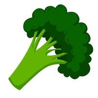 icône de nature végétale brocoli frais isolé sur fond blanc vecteur