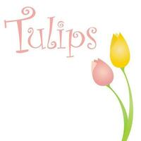 fleurs de tulipes illustration vectorielle graphique vecteur