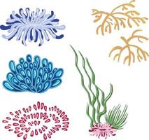 ensemble de plantes vectorielles marines, algues dessinées à la main vecteur