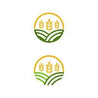 agriculture blé riz vecteur icône conception