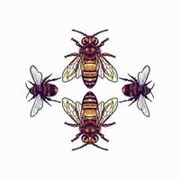 illustration d'abeille utilisant un style de dessin à la main poursuivi avec la coloration numérique, il s'agit d'une combinaison de style de dessin à la main et de couleur numérique vecteur