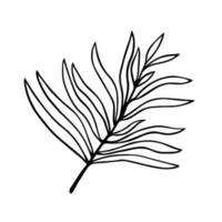 branche d'arbre avec icône de vecteur de feuilles. tige dessinée à la main avec feuillage. croquis botanique, contour. brin d'arbuste forestier, plante de jardin, herbe de champ. illustration isolée sur blanc. clipart pour cartes, impressions