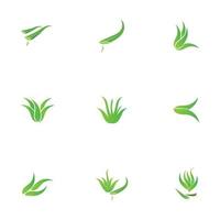 modèle de conception d'illustration de logo d'aloe vera vecteur