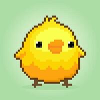 Pixel 8 bits les poussins. pixels d'animaux dans les illustrations vectorielles pour les points de croix et les ressources du jeu. vecteur