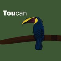 conception d'illustration vectorielle de logo d'icône de dessin animé d'oiseau toucan. oiseaux tropicaux mignons isolés sur fond vert. vecteur