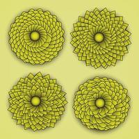 ensemble de quatre chrysanthèmes jaunes vecteur