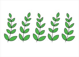 conception isolée de l'icône de vecteur de plante