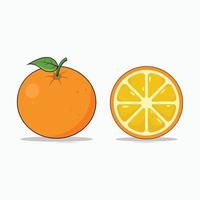 illustration vectorielle de fruits orange vecteur