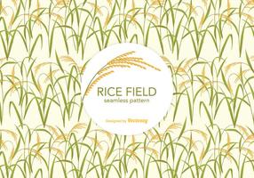 Patron vectoriel de riz libre