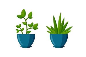 ensemble de plantes en pot. plantes succulentes vertes en style cartoon. illustration vectorielle vecteur