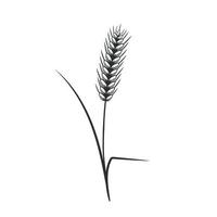 croquis d'épi de blé. icône de spica monochrome. aliments biologiques, symbole de boulangerie. illustration vectorielle sur fond blanc vecteur