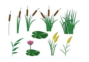 Free Reeds Vector