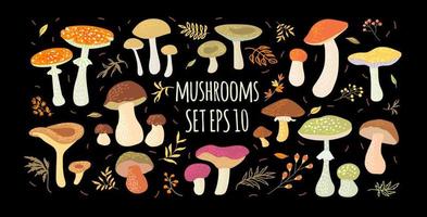 un ensemble de divers champignons peints. illustration vectorielle, affiche, carte postale. vecteur