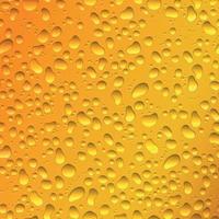 gouttes d'eau sur fond d'or. condensation de gouttelettes de pluie pures réalistes sur la bière vecteur