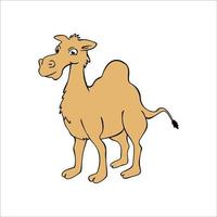 illustration de conception de dessin animé de chameau. icône, signe et symbole d'animal du désert. vecteur