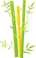 bambou décoratif dans le jardin, bambou d'intérieur pour illustration vectorielle de design d'intérieur, symbole de plante d'asie vecteur