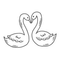 couple d'amoureux cygnes doodle vecteur
