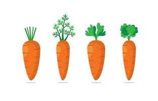 ensemble de quatre carottes aux feuilles vertes. légume sucré vecteur
