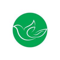 logo colombe aile d'oiseau vecteur