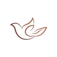 logo colombe aile d'oiseau vecteur