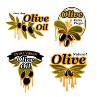 ensemble d'icônes vectorielles d'huile d'olive d'olives vecteur