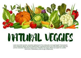 affiche de vecteur de récolte de légumes ou de légumes