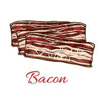 croquis de bacon avec des rayures de viande de porc vecteur
