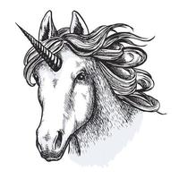 croquis de vecteur animal magique mystique cheval licorne