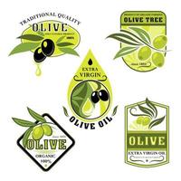 icônes vectorielles d'olives et d'huile d'olive italienne vecteur