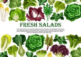 feuille de salade, conception de bordure de bannière de légumes verts