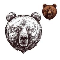 croquis d'ours ou d'animal grizzly de prédateur sauvage vecteur