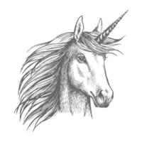 croquis de cheval licorne avec corne vecteur