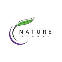 modèle de conception de logo nature, concept de beauté utilisant l'icône de la feuille pour le spa, les soins de la peau et les cosmétiques vecteur