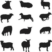 une collection vectorielle de silhouettes d'agneau pour des compositions d'œuvres d'art vecteur