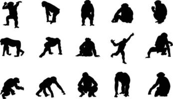 une collection de silhouettes vectorielles de chimpanzés pour les compositions d'œuvres d'art.